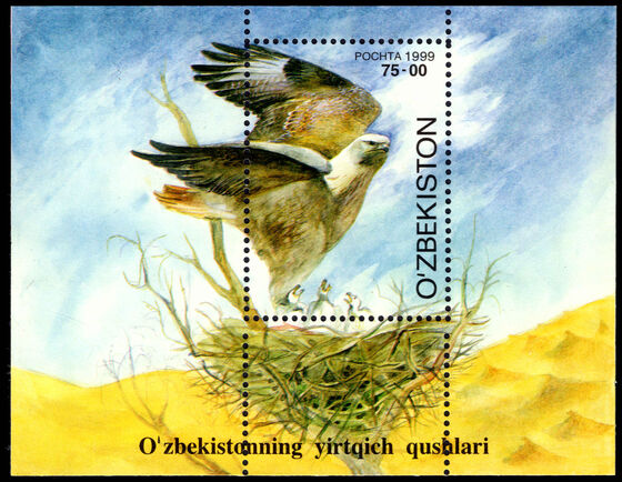 Uzbekistan 1999 Birds of Prey souvenir sheet unmounted mint.