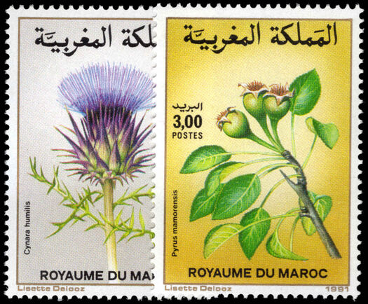 Morocco 1991 Flowers unmounted mint.