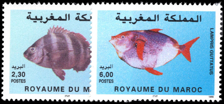 Morocco 1999 Fish unmounted mint.