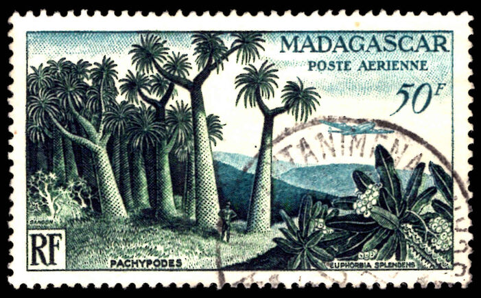 Madagascar 1952 50f Palm trees fine used.