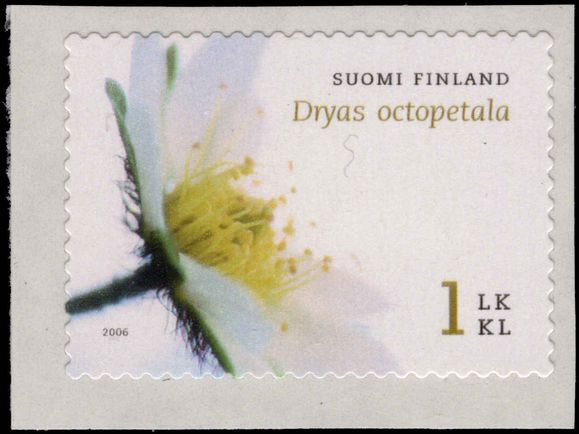 Finland 2006 Dryas Octopetula unmounted mint.