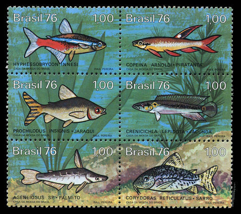 Brazil 1976 Freshwater Fishes unmounted mint.