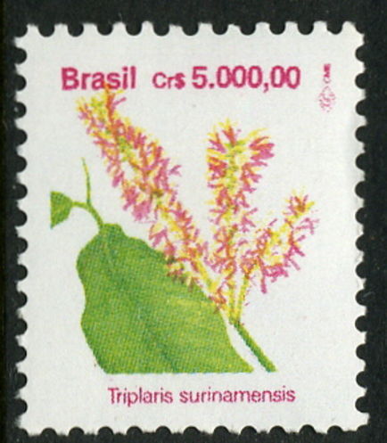 Brazil 1992 Triplaris Surinamensis Flower unmounted mint.