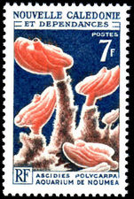 New Caledonia 1964 7fr Coral unmounted mint.