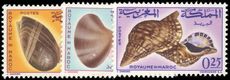 Morocco 1965 Seashells unmounted mint.