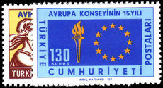 Turkey 1964 Council of Europe unmounted mint.