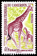 Cameroon 1962 40f Giraffe unmounted mint.