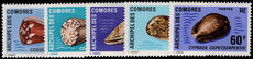 Comoro Islands 1971 Sea Shells unmounted mint.