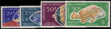 Comoro Islands 1968 Fish unmounted mint.