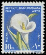 Egypt 1974 Ramadan Festival unmounted mint.