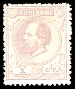 Suriname 1873-88 1c grey unmounted mint.