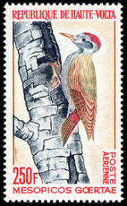 Upper Volta 1964 Grey Woodpecker unmounted mint.