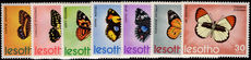 Lesotho 1973 Butterflies unmounted mint.