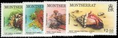 Montserrat 1984 Marine Life unmounted mint.