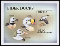 Liberia 1999 Eider Ducks unmounted mint souvenir sheet.