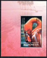 Micronesia 2003 Greater Flamingo souvenir sheet unmounted mint.