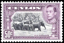 Ceylon 1938-49 50c Wild Elephants perf 13½ unmounted mint.