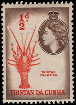 Tristan da Cunha 1954 ½d Crawfish unmounted mint.