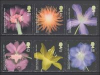 2004 Bicentenary of the Royal Horticultural Society, unmounted mint.