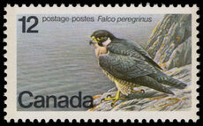 Canada 1978 Peregrine Falcon unmounted mint.