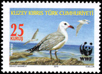 Turkish Cyprus 2010 Larus Audouinii unmounted mint.