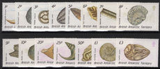 British Antarctic Territory 1990 Fossils unmounted mint.