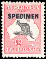 Australia 1929-30 £2 black and rose SPECIMEN unused without gum.