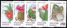 Russia 1994 Cacti unmounted mint.