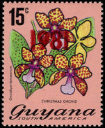 Guyana 1981 15c Christmas Orchid 1981 perf 14 unmounted mint.