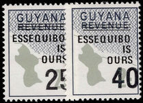 Guyana 1982 Essequibo is ours unmounted mint.