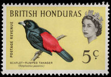 British Honduras 1962 5c Scarlet-rumped Tanager unmounted mint.