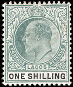 Lagos 1904-06 1s green and black ordinary paper mounted mint.