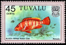 Tuvalu 1979-81 45c Black-tipped Grouper unmounted mint.