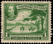 British Guiana 1934-51 1c Rice Field fine used.