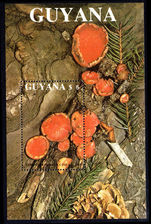 Guyana 1989 Fungi souvenir sheet unmounted mint.