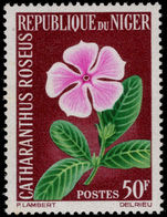 Niger 1964 50f Catharanthus Roseus unmounted mint.
