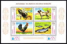 Turkey 1996 Istanbul '96 International Stamp Exhibition souvenir sheet unmounted mint.