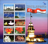 Turkey 2008 Turkey and Indonesia sheetlet (folded) unmounted mint.