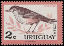 Uruguay 1962 2c Rufous-bellied thrush unmounted mint.