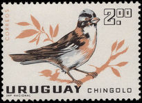 Uruguay 1962 2p Rufous Collared Sparrow unmounted mint.