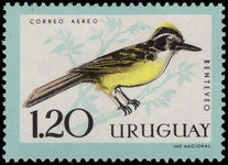 Uruguay 1962 1p20 Great Kiskadee unmounted mint.