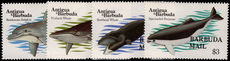 Barbuda 1983 Whales unmounted mint.