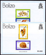 Belize 1980 Shells souvenier sheet unmounted mint.