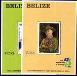 Belize 1982 Scouts souvenier sheet unmounted mint.