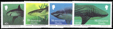 Montserrat 1987 Sharks unmounted mint.