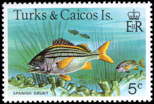 Turks & Caicos Islands 1978-83 5c Spanish Grunt no imprint unmounted mint.