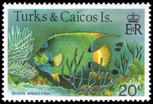 Turks & Caicos Islands 1978-83 20c Queen Angelfish no imprint unmounted mint.