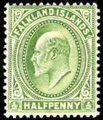 Falkland Islands 1904-12 ½d pale yellow-green thick paper unmounted mint.