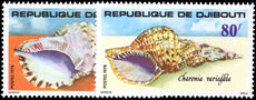 Djibouti 1978 Sea Shells unmounted mint.