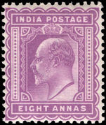 India 1902-11 8a purple lightly mounted mint.